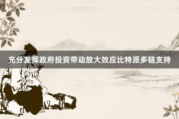 充分发挥政府投资带动放大效应比特派多链支持