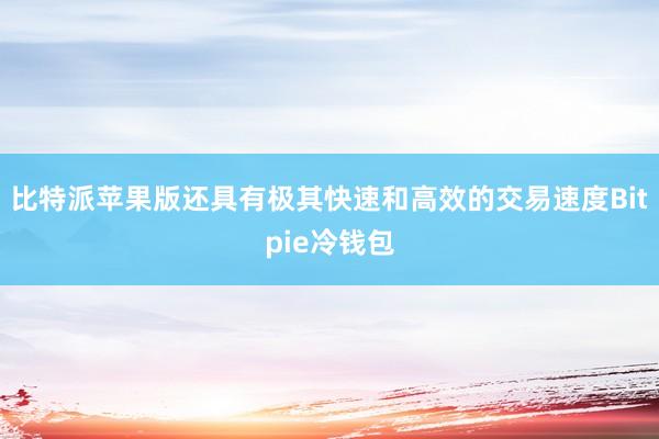 比特派苹果版还具有极其快速和高效的交易速度Bitpie冷钱包