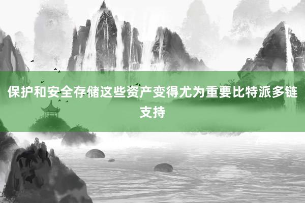 保护和安全存储这些资产变得尤为重要比特派多链支持