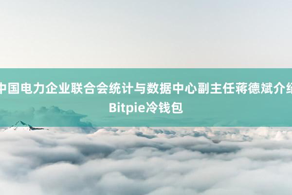 中国电力企业联合会统计与数据中心副主任蒋德斌介绍Bitpie冷钱包