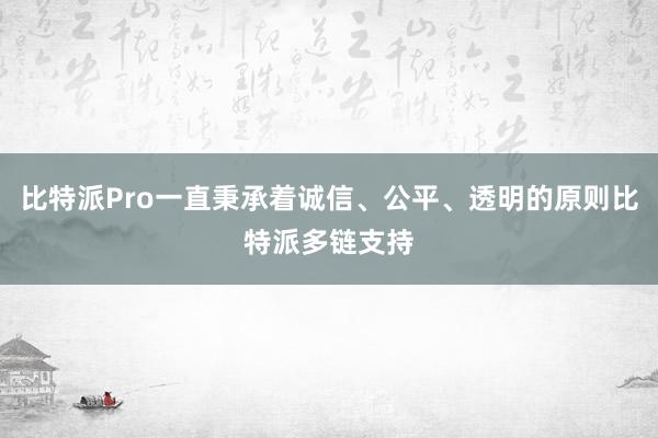 比特派Pro一直秉承着诚信、公平、透明的原则比特派多链支持