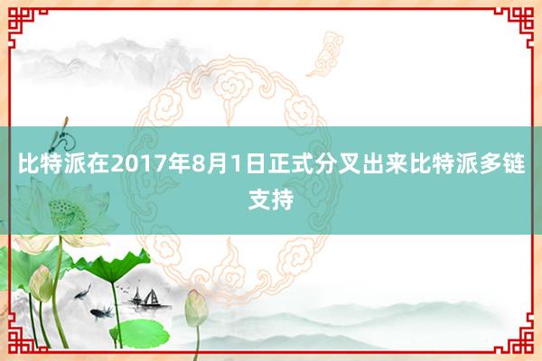 比特派在2017年8月1日正式分叉出来比特派多链支持