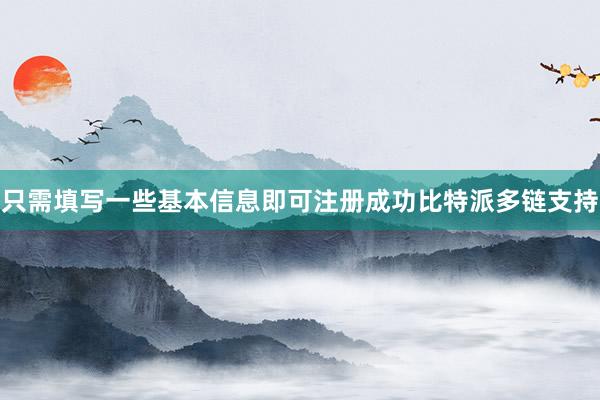 只需填写一些基本信息即可注册成功比特派多链支持