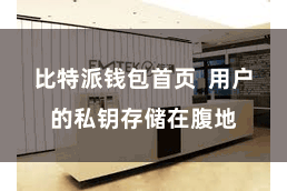 比特派钱包首页  用户的私钥存储在腹地