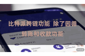 比特派跨链功能  除了因循转账和收款功能