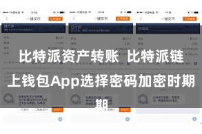 比特派资产转账  比特派链上钱包App选择密码加密时期
