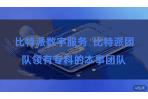 比特派数字服务  比特派团队领有专科的本事团队